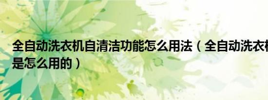 全自动洗衣机自清洁功能怎么用法（全自动洗衣机的自清洁是怎么用的）