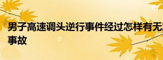 男子高速调头逆行事件经过怎样有无发生交通事故