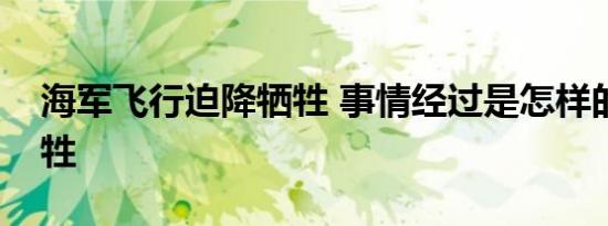 海军飞行迫降牺牲 事情经过是怎样的为何牺牲