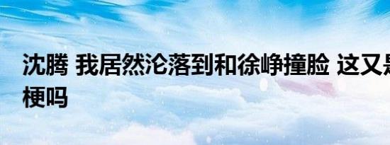 沈腾 我居然沦落到和徐峥撞脸 这又是什么新梗吗