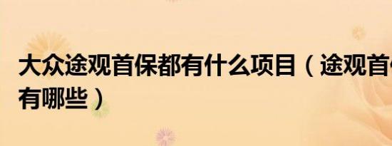 大众途观首保都有什么项目（途观首保的内容有哪些）