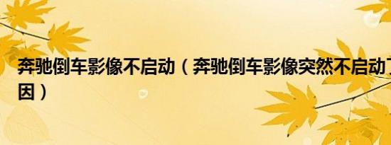 奔驰倒车影像不启动（奔驰倒车影像突然不启动了是什么原因）