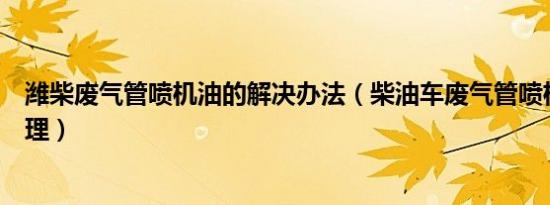 潍柴废气管喷机油的解决办法（柴油车废气管喷机油怎么处理）