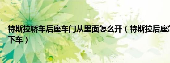 特斯拉轿车后座车门从里面怎么开（特斯拉后座怎么开车门下车）