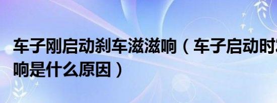 车子刚启动刹车滋滋响（车子启动时发出滋滋响是什么原因）