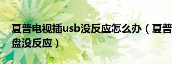 夏普电视插usb没反应怎么办（夏普电视插u盘没反应）