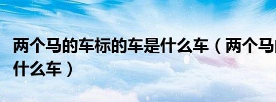 两个马的车标的车是什么车（两个马的车标是什么车）