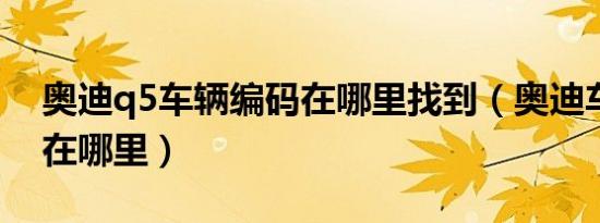奥迪q5车辆编码在哪里找到（奥迪车辆编码在哪里）