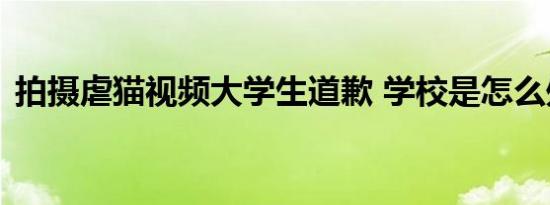 拍摄虐猫视频大学生道歉 学校是怎么处理的