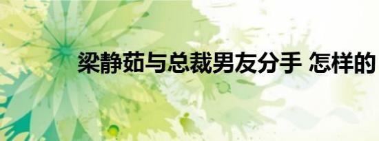 梁静茹与总裁男友分手 怎样的