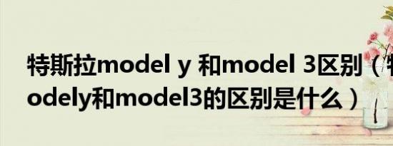 特斯拉model y 和model 3区别（特斯拉modely和model3的区别是什么）