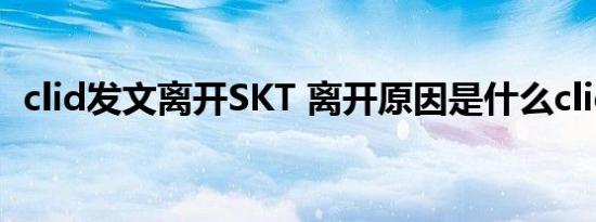 clid发文离开SKT 离开原因是什么clid是谁