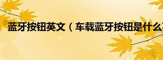 蓝牙按钮英文（车载蓝牙按钮是什么英文）