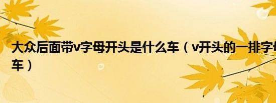 大众后面带v字母开头是什么车（v开头的一排字母是什么汽车）