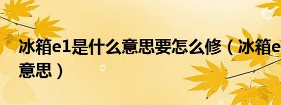 冰箱e1是什么意思要怎么修（冰箱e1是什么意思）