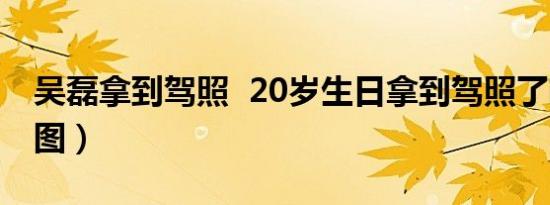 吴磊拿到驾照 20岁生日拿到驾照了晒自拍（图）