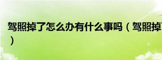 驾照掉了怎么办有什么事吗（驾照掉了怎么办）