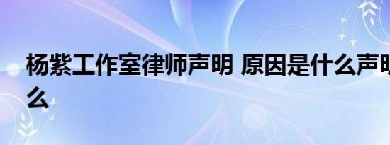 杨紫工作室律师声明 原因是什么声明说了什么