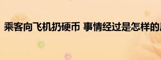 乘客向飞机扔硬币 事情经过是怎样的后果是