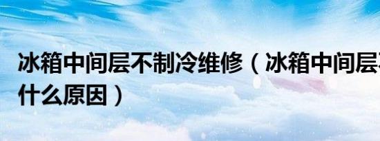 冰箱中间层不制冷维修（冰箱中间层不制冷是什么原因）