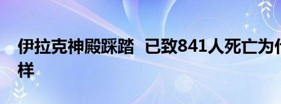 伊拉克神殿踩踏 已致841人死亡为什么会这样
