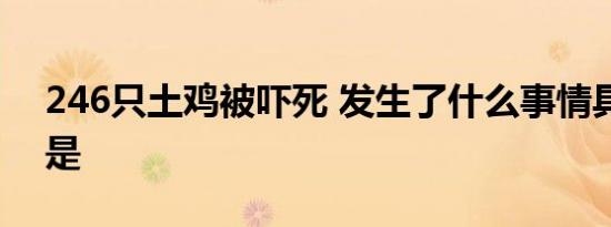246只土鸡被吓死 发生了什么事情具体经过是