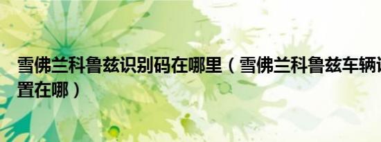 雪佛兰科鲁兹识别码在哪里（雪佛兰科鲁兹车辆识别代码位置在哪）