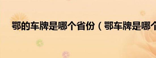 鄂的车牌是哪个省份（鄂车牌是哪个省）