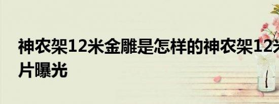 神农架12米金雕是怎样的神农架12米金雕图片曝光