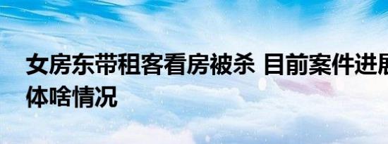 女房东带租客看房被杀 目前案件进展如何具体啥情况