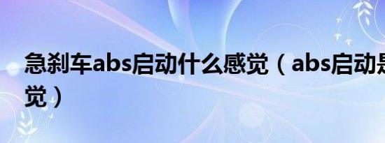 急刹车abs启动什么感觉（abs启动是什么感觉）