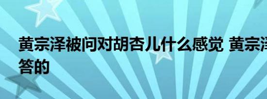 黄宗泽被问对胡杏儿什么感觉 黄宗泽怎么回答的