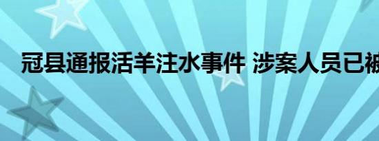 冠县通报活羊注水事件 涉案人员已被刑拘