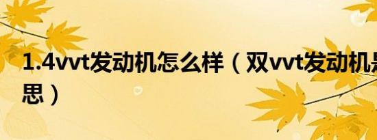 1.4vvt发动机怎么样（双vvt发动机是什么意思）