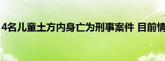 4名儿童土方内身亡为刑事案件 目前情况如何