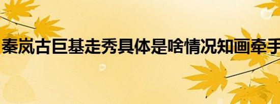秦岚古巨基走秀具体是啥情况知画牵手五阿哥