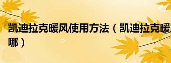 凯迪拉克暖风使用方法（凯迪拉克暖风开关在哪）
