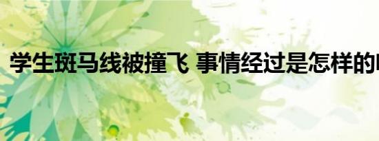 学生斑马线被撞飞 事情经过是怎样的啥情况