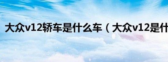 大众v12轿车是什么车（大众v12是什么车）
