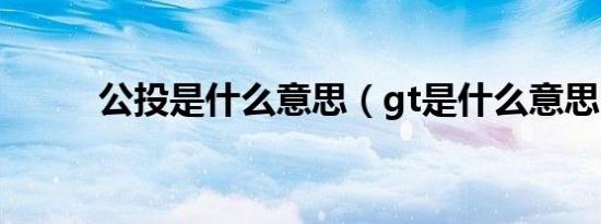 公投是什么意思（gt是什么意思）