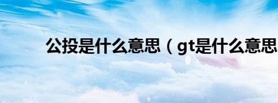 公投是什么意思（gt是什么意思）