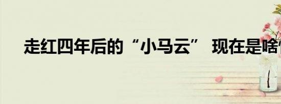 走红四年后的“小马云” 现在是啥情况