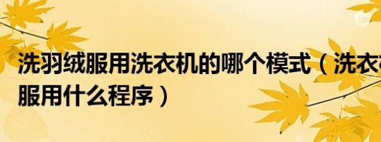 洗羽绒服用洗衣机的哪个模式（洗衣机洗羽绒服用什么程序）
