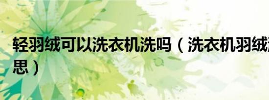 轻羽绒可以洗衣机洗吗（洗衣机羽绒洗什么意思）
