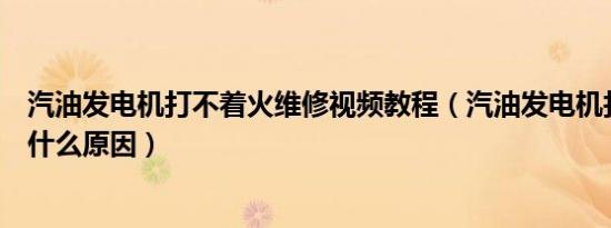 汽油发电机打不着火维修视频教程（汽油发电机打不着火是什么原因）