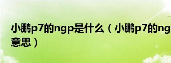 小鹏p7的ngp是什么（小鹏p7的ngp是什么意思）
