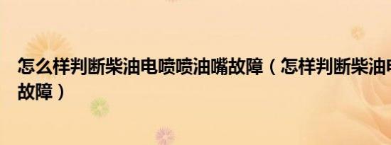 怎么样判断柴油电喷喷油嘴故障（怎样判断柴油电喷喷油嘴故障）