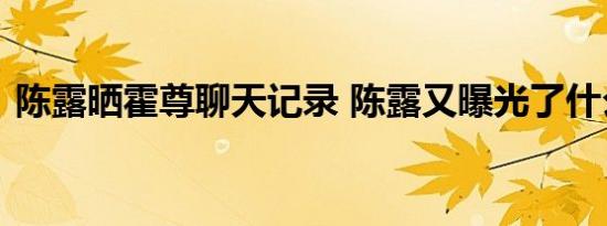 陈露晒霍尊聊天记录 陈露又曝光了什么内幕