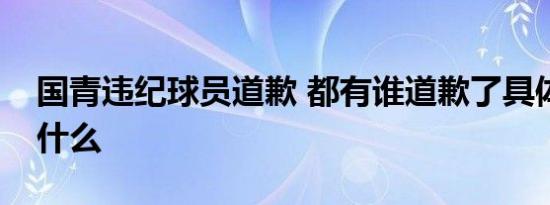 国青违纪球员道歉 都有谁道歉了具体情况是什么