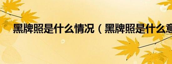 黑牌照是什么情况（黑牌照是什么意思）